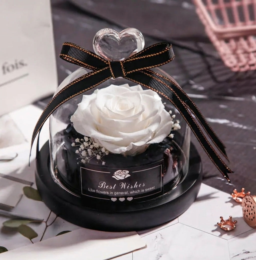 Konservierte Ewige Rose in Glaskuppel - Amorlune