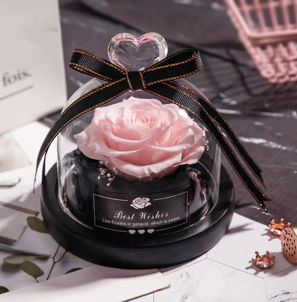 Konservierte Ewige Rose in Glaskuppel - Amorlune