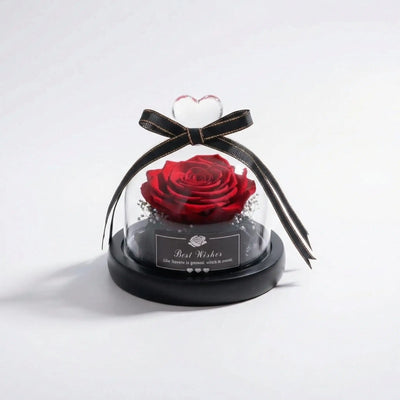 Preserved eternal rose in glass dome by Amorlune, showcasing a delicate, long-lasting flower inside a clear glass cover.