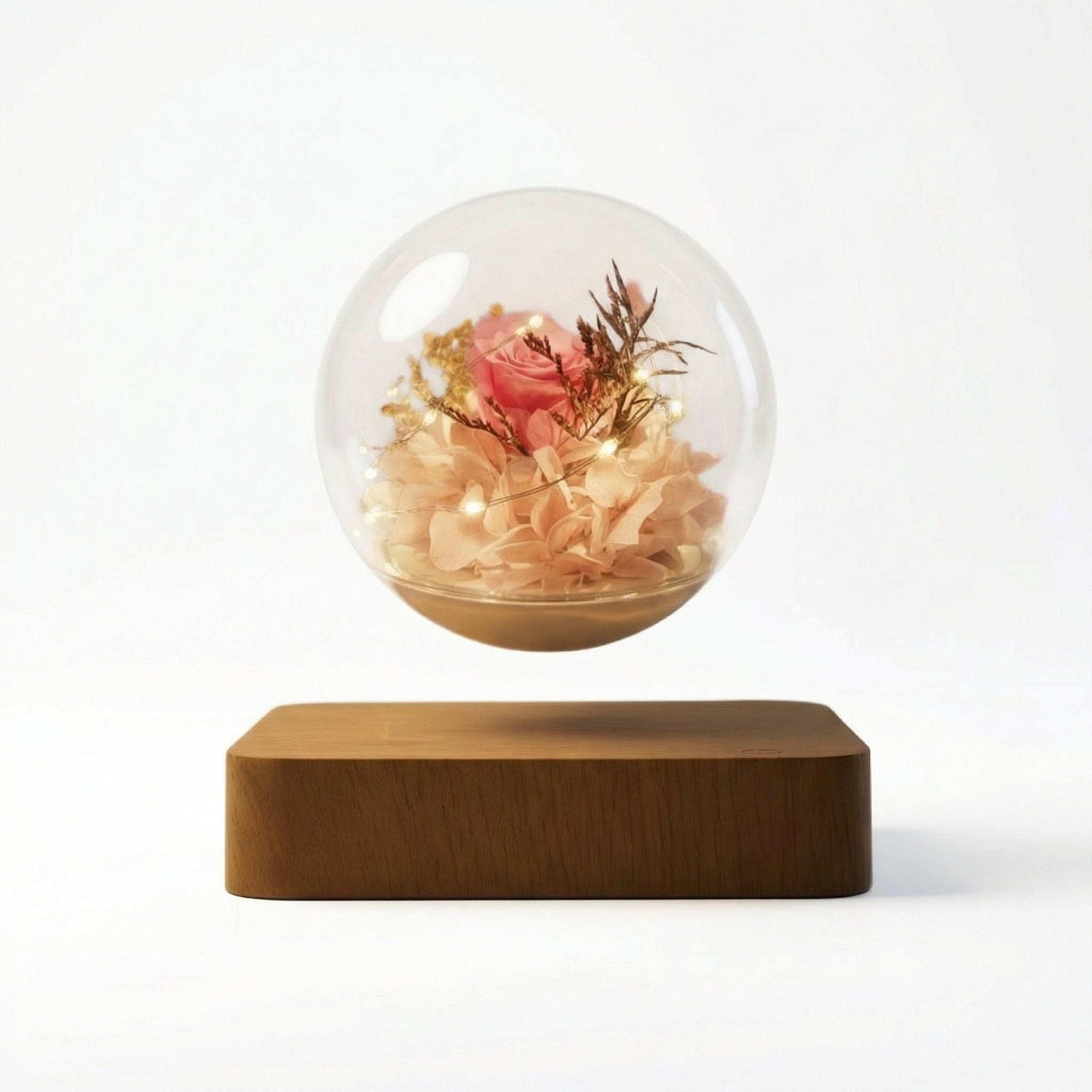 Magnetisch schwebende Rosenkugel von Amorlune mit lebendigen Blumen in einer transparenten Kugel.