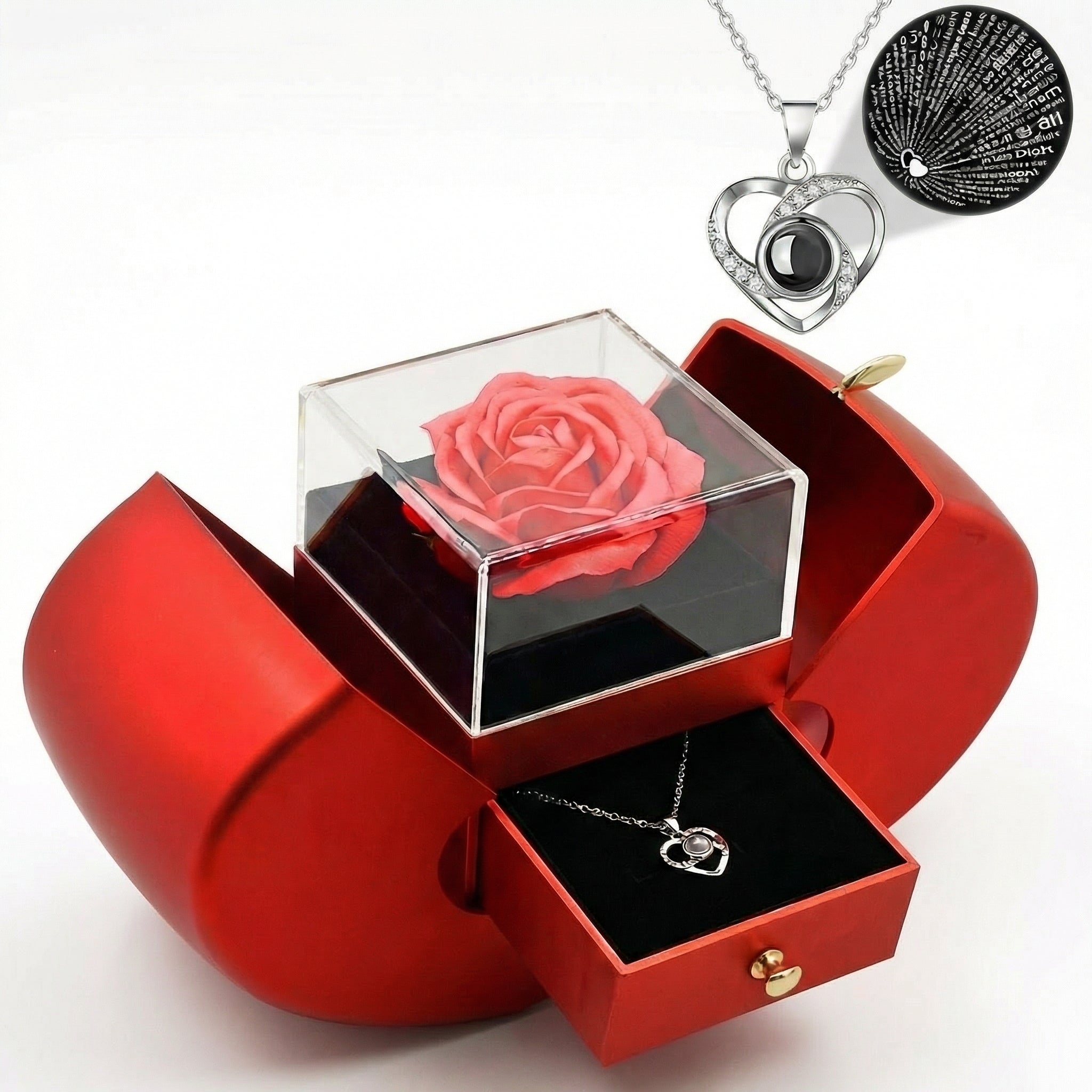 Ewige Rosen Geschenkbox "Apfel" mit „Ich liebe dich“-Halskette in 100 Sprachen - Amorlune 