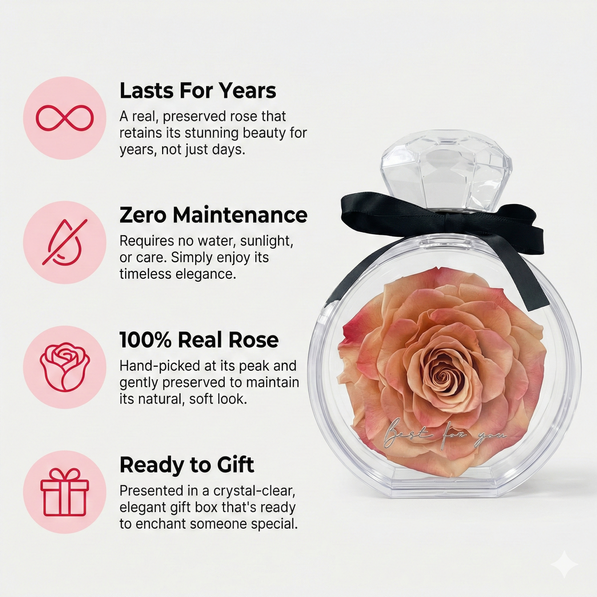 Ewige Rose in edler Geschenkbox – Das zeitlose Geschenk für besondere Anlässe