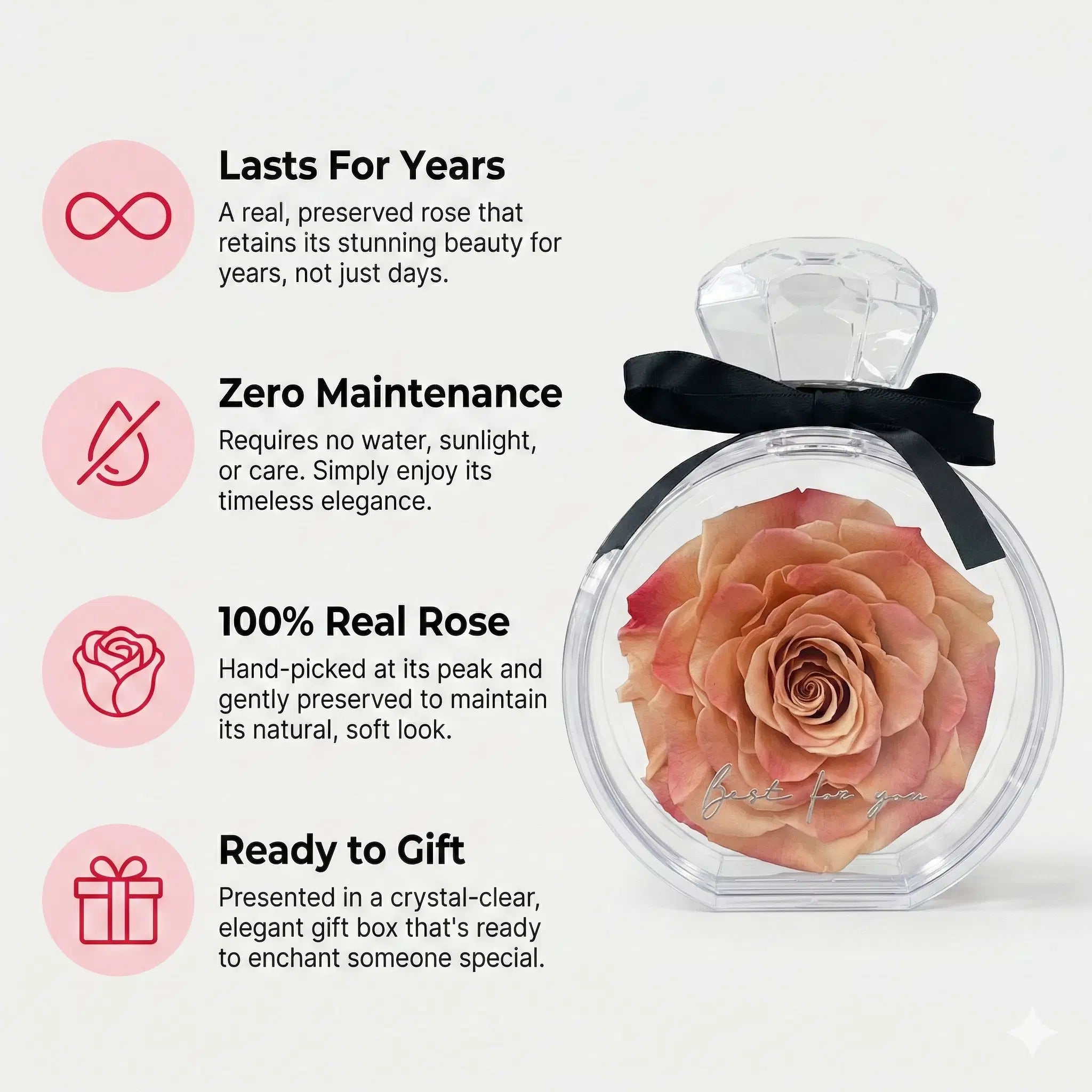 Eternal Rose in an elegant gift box by Amorlune, showcasing a preserved, long-lasting rose perfect for special occasions.