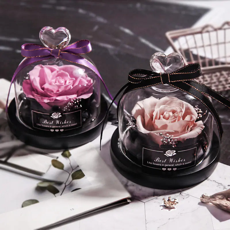 Konservierte Ewige Rose in Glaskuppel - Amorlune