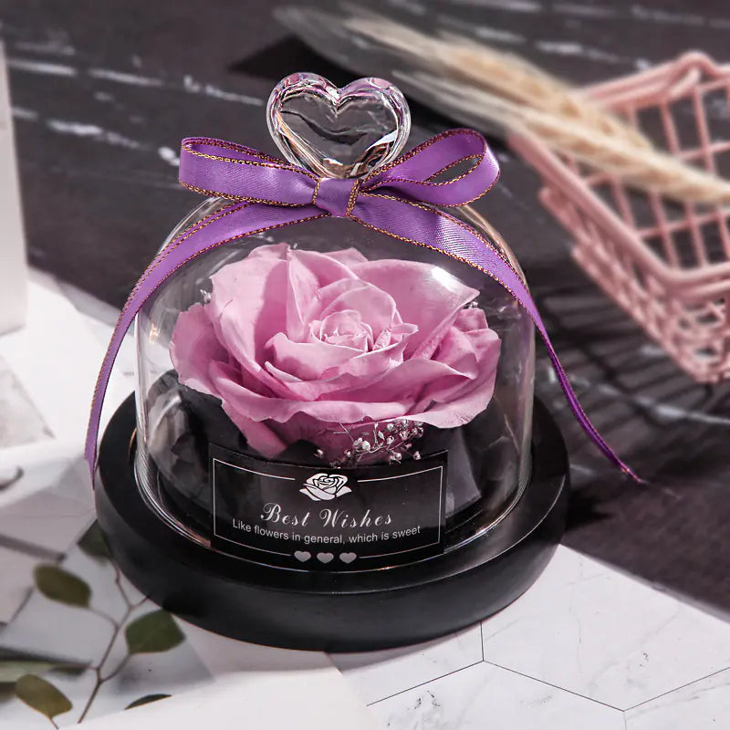 Amorlune preserved eternal rose in glass dome, showcasing vibrant petals and elegant display for home decor.
