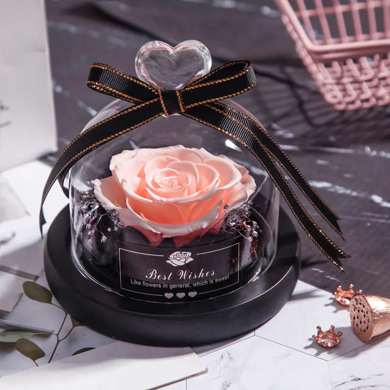 Preserved eternal rose in glass dome by Amorlune, showcasing vibrant petals and elegant display for lasting beauty.