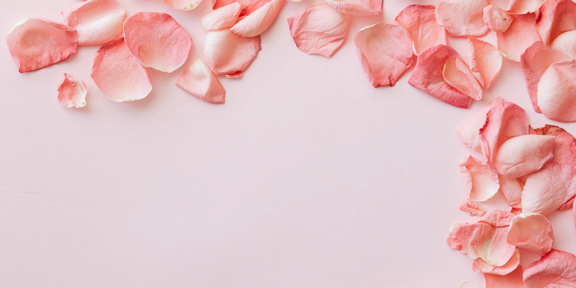 Zarte rosa Rosenblätter auf hellem Hintergrund – romantische Dekoration, ideal für Hochzeiten, Valentinstag oder liebevolle Geschenkverpackungen von Amorlune