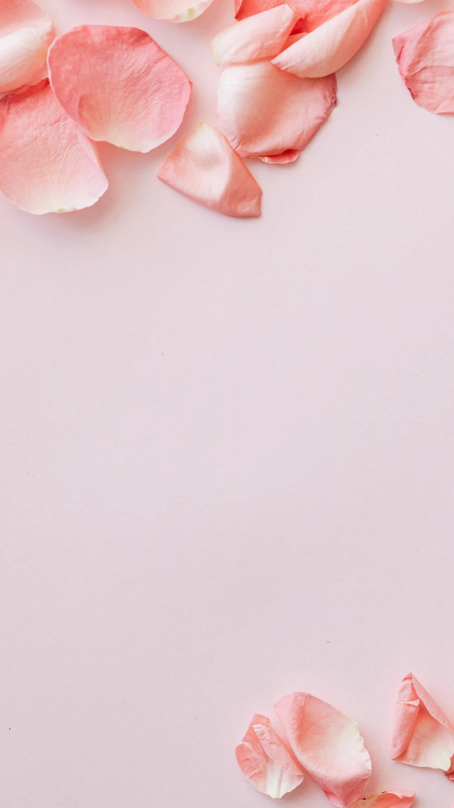 Zarte rosa Rosenblätter auf hellem Hintergrund – romantische Dekoration, ideal für Hochzeiten, Valentinstag oder liebevolle Geschenkverpackungen von Amorlune