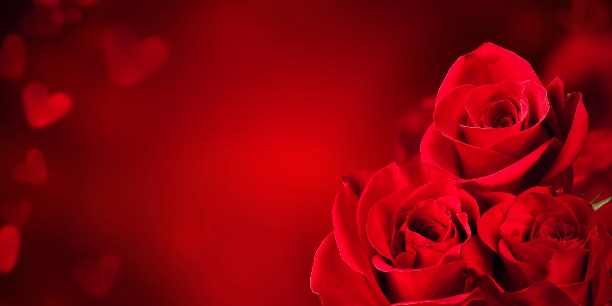 Romantischer Hintergrund mit roten Rosen und Herzmotiven – perfekte Gestaltung für Valentinstag, Liebe, Hochzeit oder besondere Geschenkideen